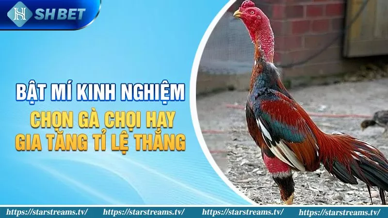 Thoát khỏi nền tảng Ek88 - Ek88