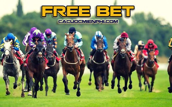 Gobet sẽ tặng 128000 đô la cho các thành viên mới - Gobet