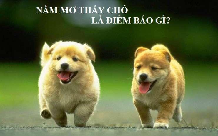 Giải thưởng thể thao Ggwin - Ggwin