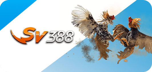 Hướng dẫn rút tiền 88Bet toàn diện nhất - 88Bet