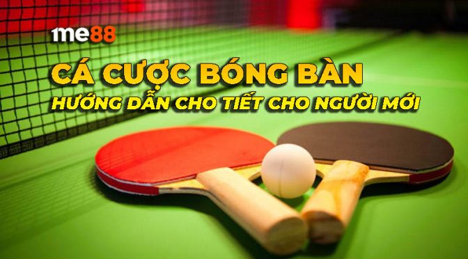 Có kinh nghiệm duy trì thành tích bất bại tại giải đấu cấp Sv66 - Sv66