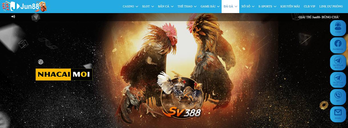 Giới thiệu cổng thông tin trò chơi MSking88 - Sking88