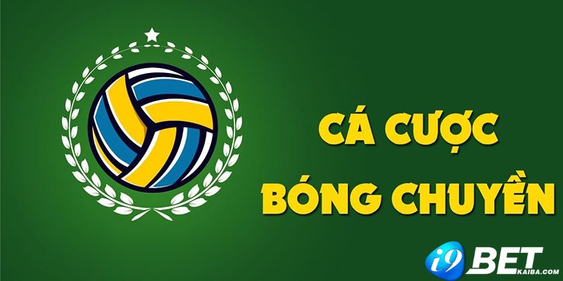 Vipwin có những trách nhiệm gì? - Vipwin