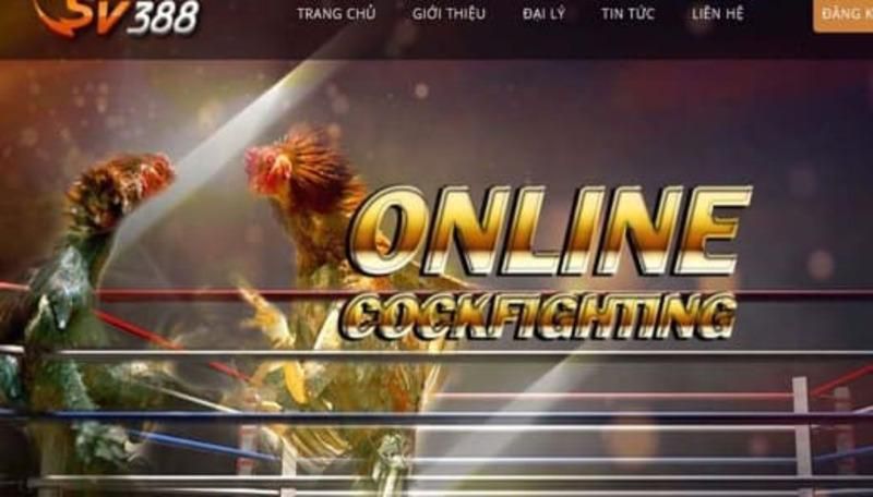 Trò chơi slot trực tuyến cấp độ 2Q bao gồm tất cả các khu cắm trại - 2Q