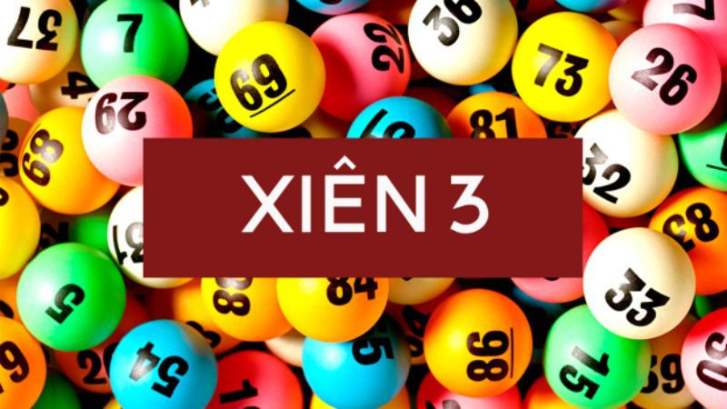Trang web của Stake hoạt động 24/7 và hỗ trợ cả điện thoại di động và máy tính - Stake