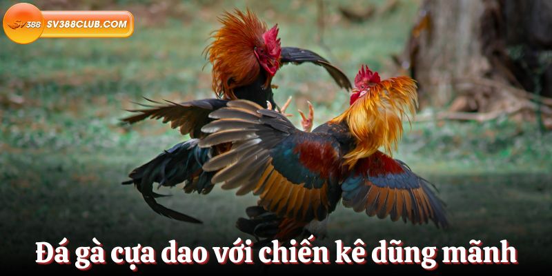 Tôi cần làm gì để đăng ký tài khoản và nạp tiền vào một trang web chơi game cấp Hb888? - Hb888