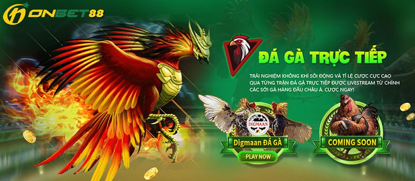 Xếp hạng 130Casino – tại sao nó lại hấp dẫn đến vậy? - 130Casino