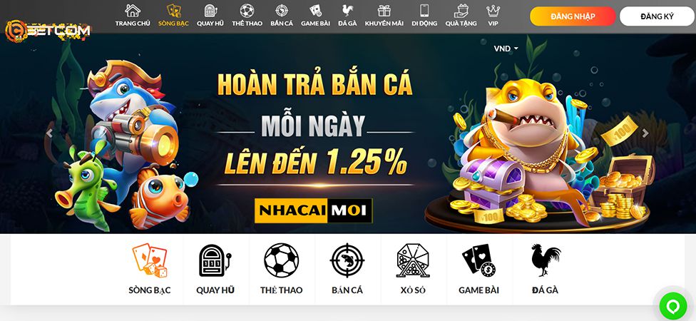 Cuộc thi cấp độ M88, hấp dẫn và kịch tính, với phần thưởng hậu hĩnh! - M88