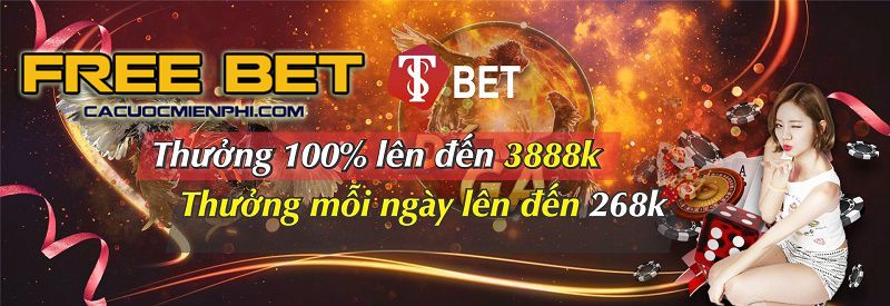 Hệ thống Lịch sử Tên miền Đại lý Dp568 - Dp568